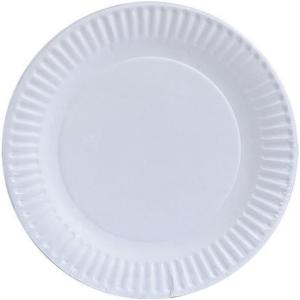 Nicole Home Collection Everyday Dinnerware Paper Plate, 9-Inch (100 count)(9 Inch – 60 Count)
