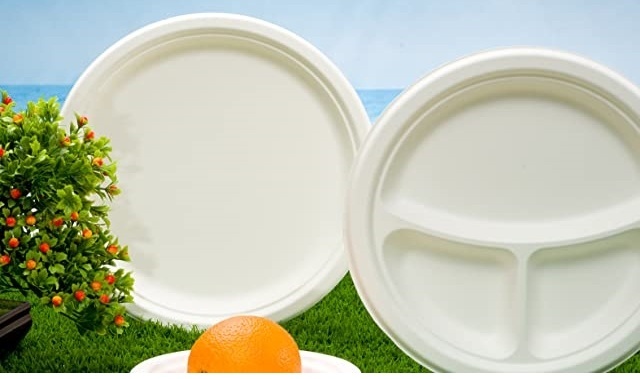 Lillian : Elegant Disposable Tableware for Special Occasions