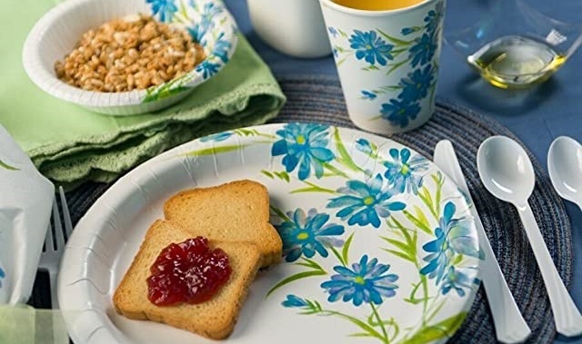 Lillian : Elegant Disposable Tableware for Special Occasions